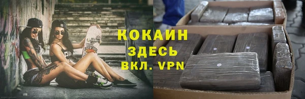 прущая мука Дмитров