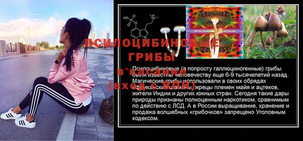 твердый Дмитриев