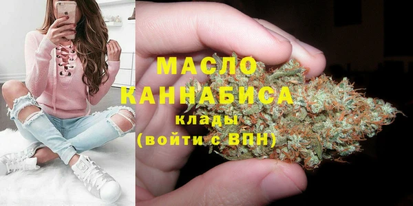 твердый Дмитриев