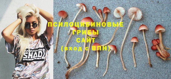 твердый Дмитриев