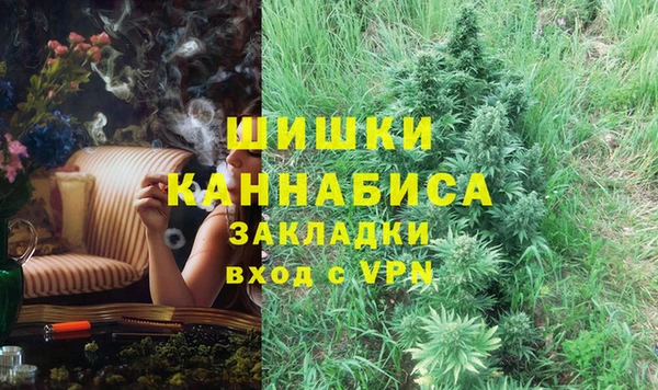 твердый Дмитриев